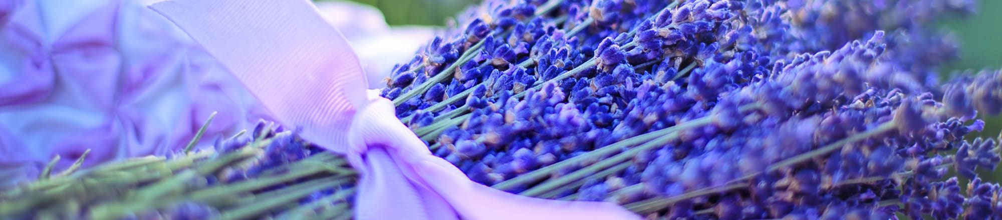 Hydrangeas & lavender – absolutely trendy